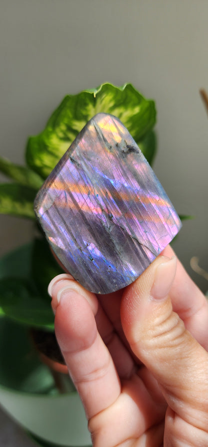 Labradorite