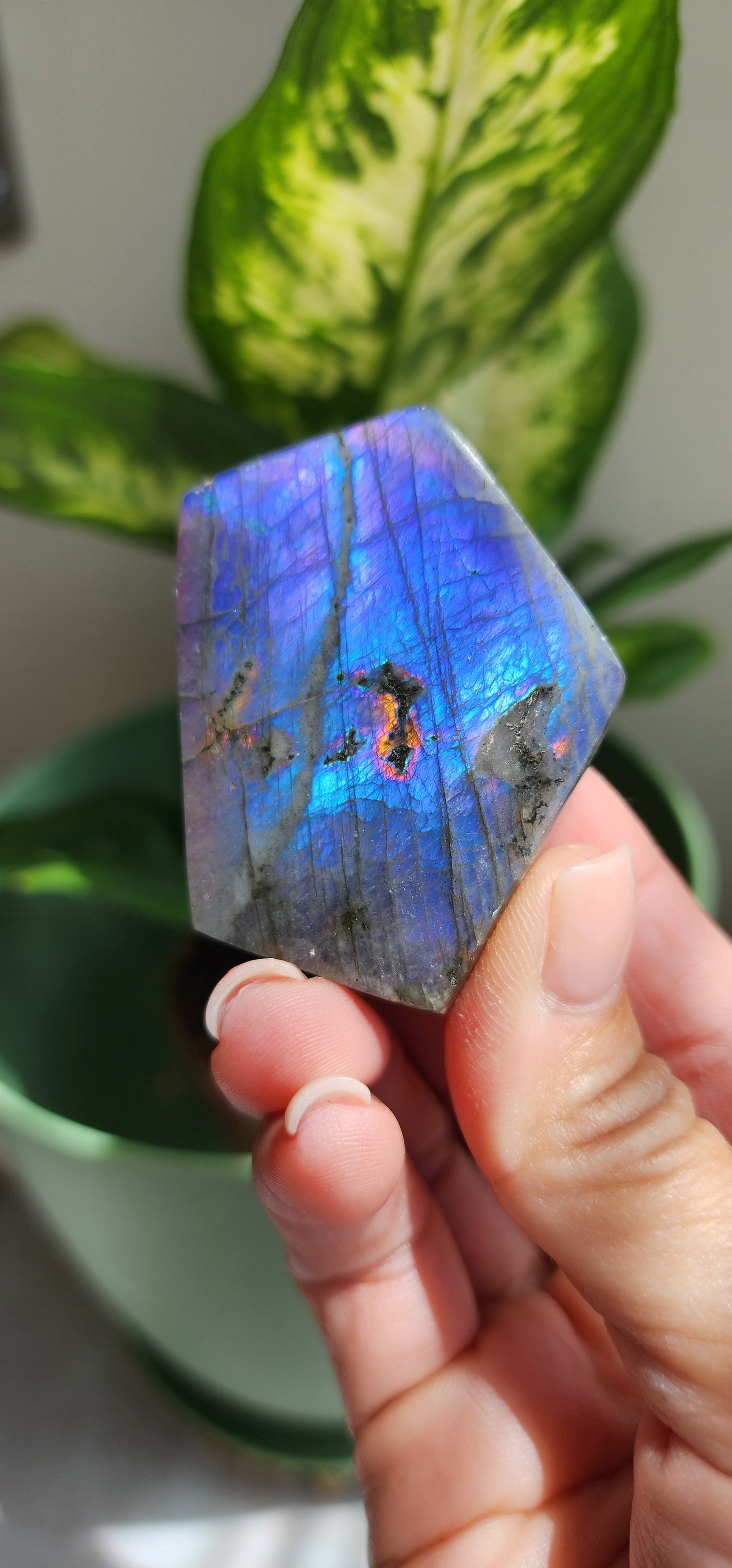 Labradorite