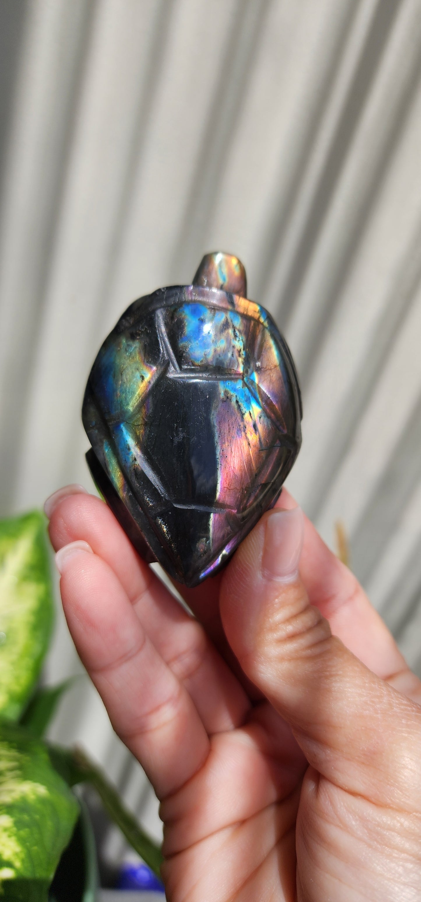 Labradorite turtle