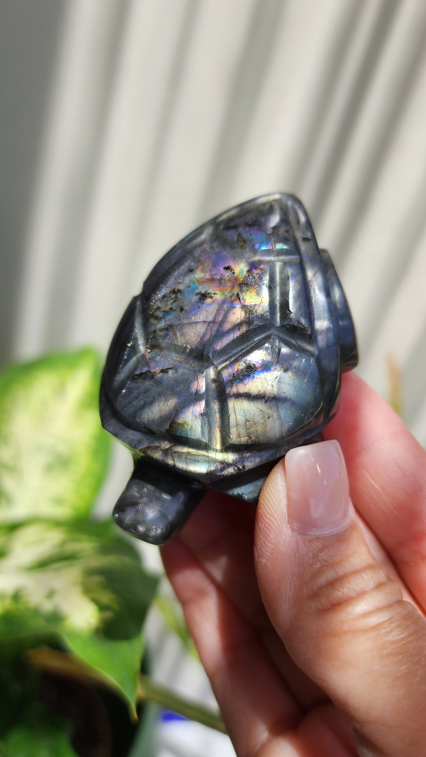 Labradorite turtle