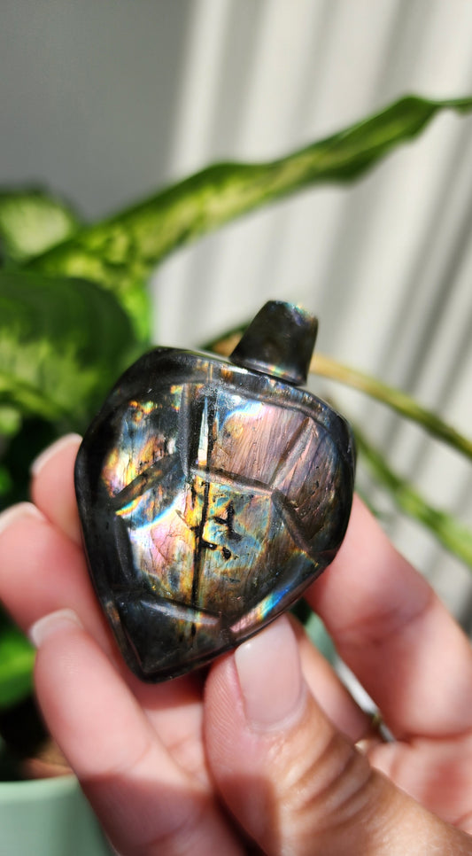 Labradorite turtle