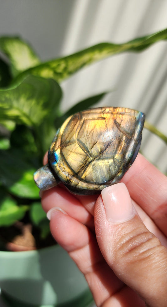 Labradorite turtle