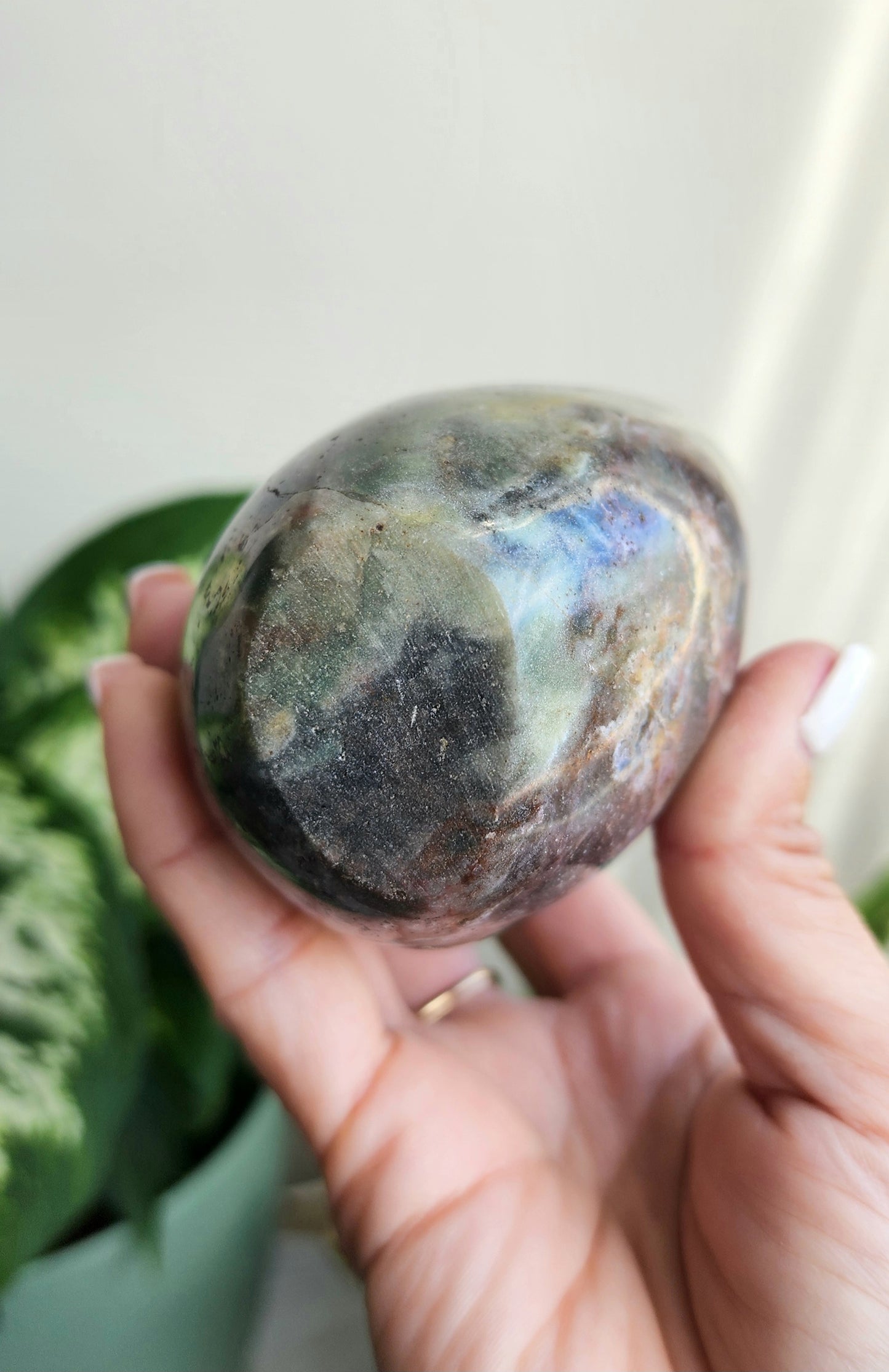 Sea jasper