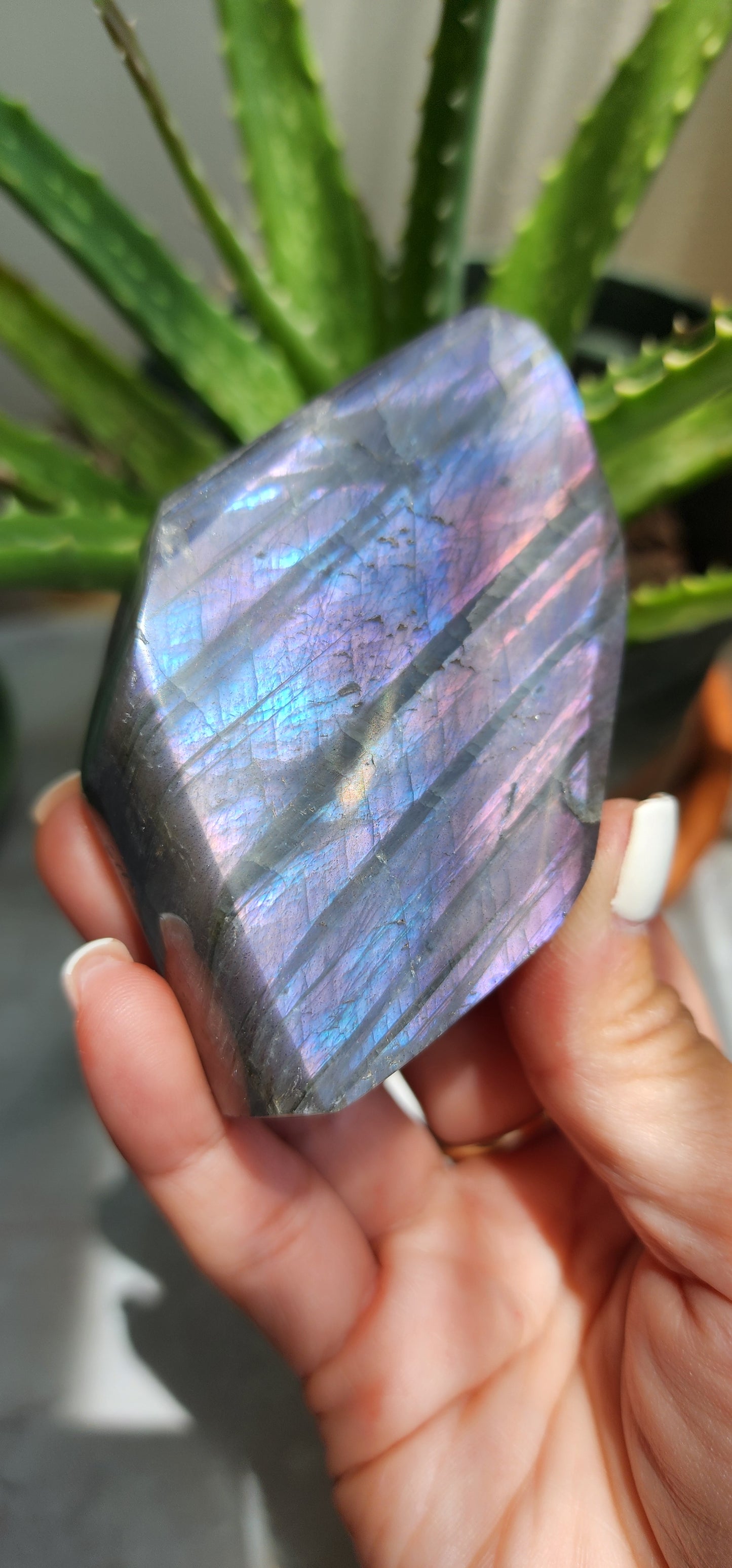 Labradorite