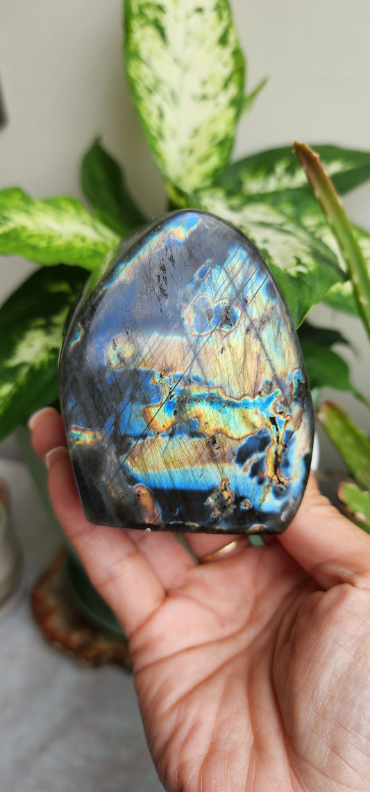 Labradorite