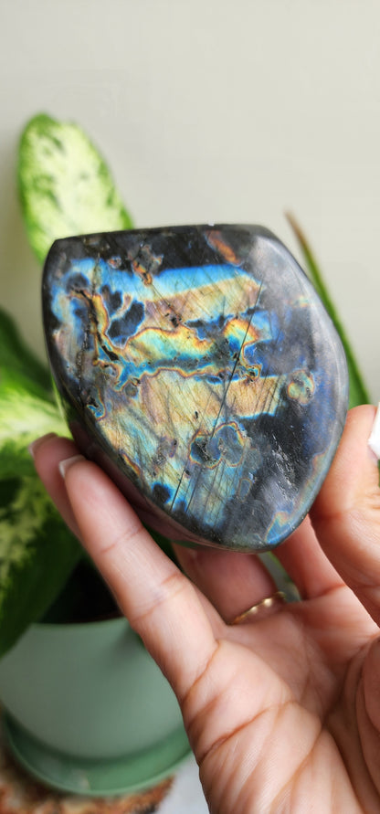 Labradorite