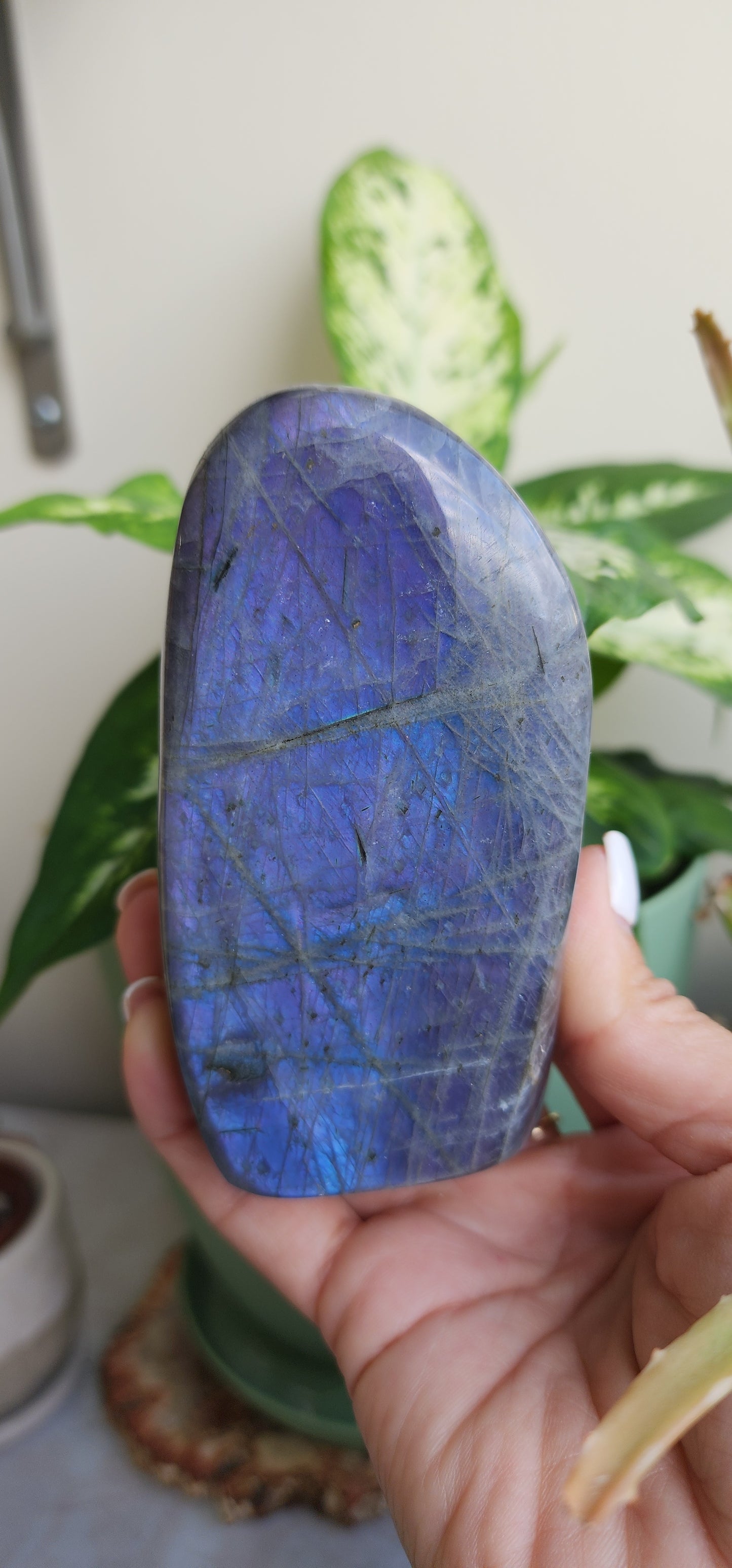 Labradorite