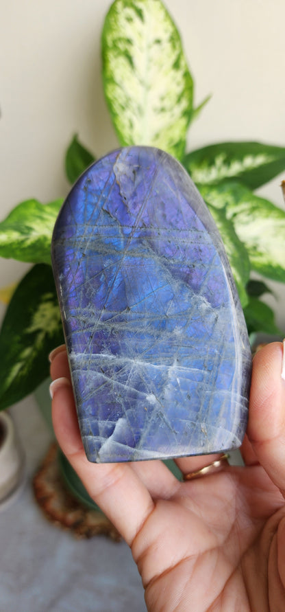 Labradorite