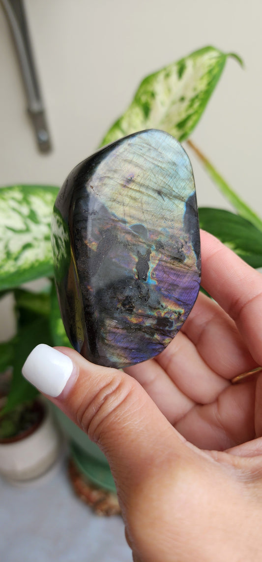 Labradorite