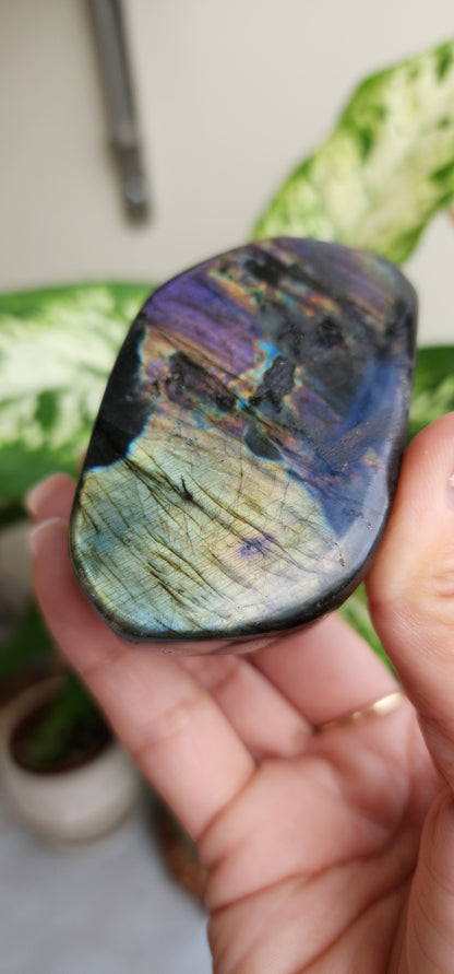 Labradorite