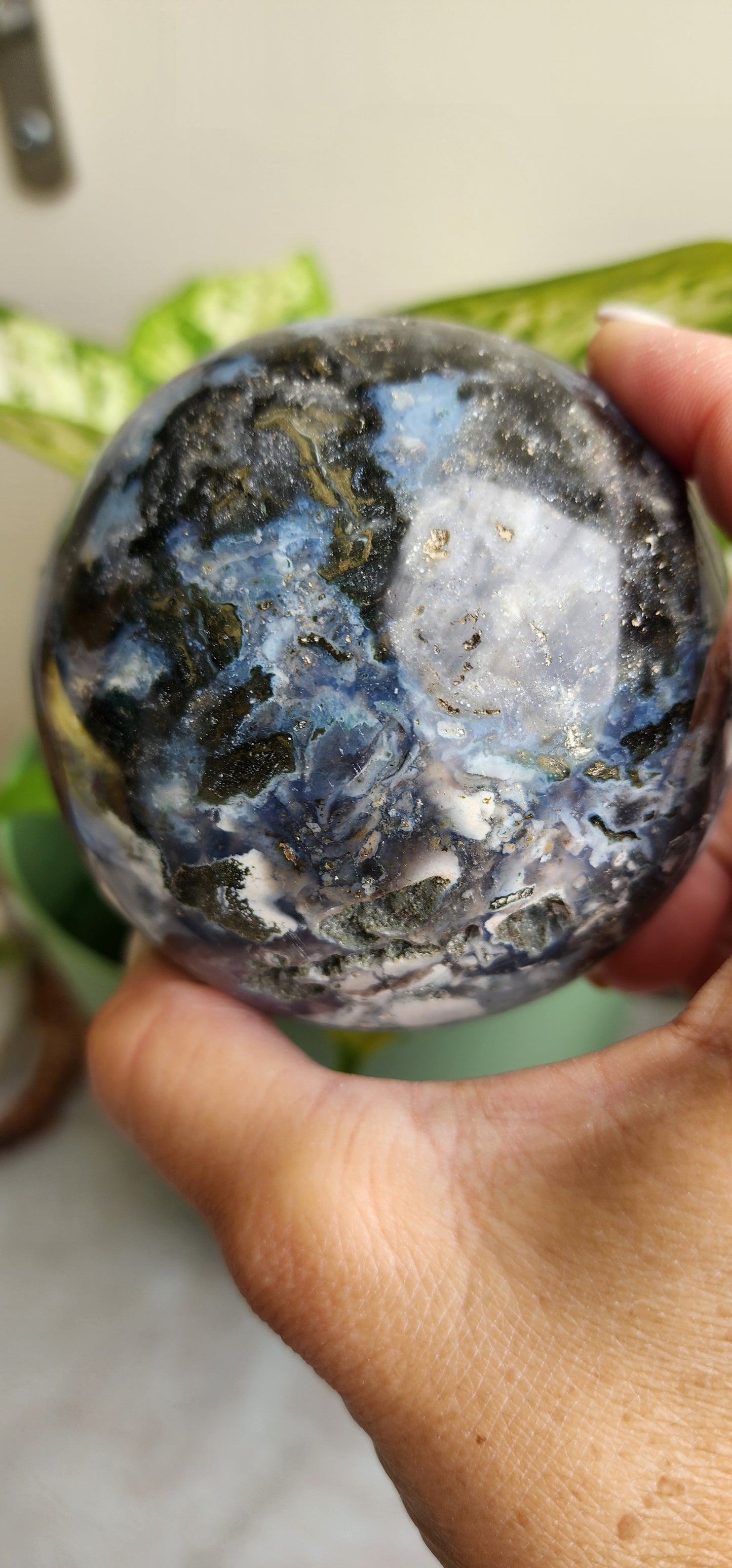 Sea jasper