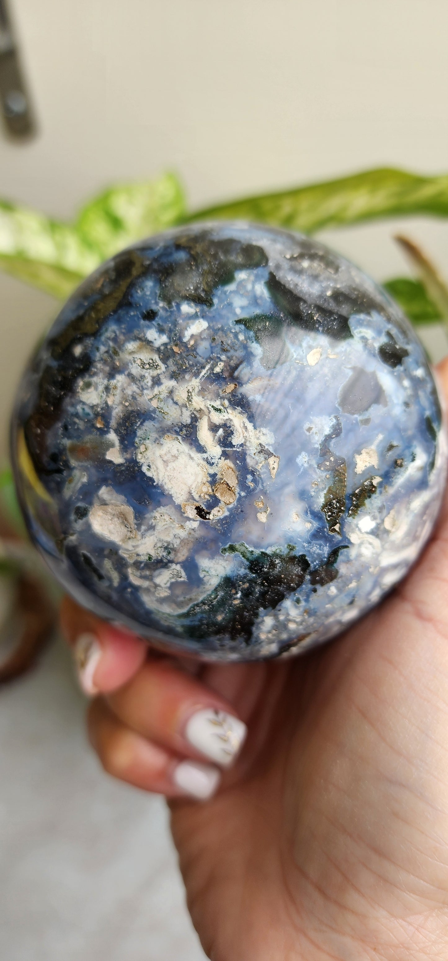 Sea jasper